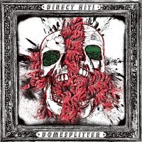 Direct Hit - Domesplitter (Vinyl Lp)