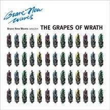 Grapes Of Wrath - Brave New Waves Session i gruppen CD / Pop hos Bengans Skivbutik AB (2409781)