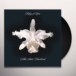 Kings Of Leon - Aha Shake Heartbreak