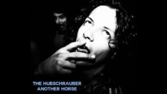 HUBSCHRAUBER / TAXIDERMIS - Another Horse /.. -Rsd-