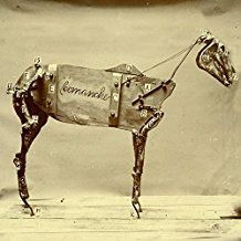 Chadwick Stokes - The Horse Comanche i gruppen CD / Pop-Rock hos Bengans Skivbutik AB (2432492)