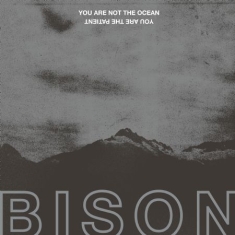Bison - You Are Not The Ocean You Are The P