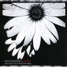 Stapleton Dave -Quintet- - House Always Wins