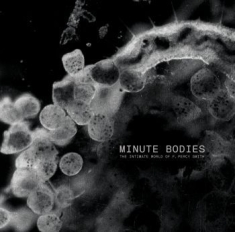 Tindersticks - Minute Bodies: The Intimate World O