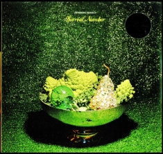 Swarming Branch - Surreal Number