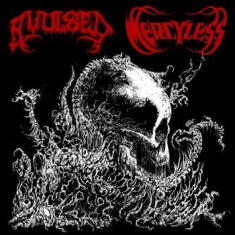 Avulsed / Mercyless - Avulsed / Mercyless