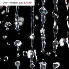 Harrison Gavin & 05Ric - Drop