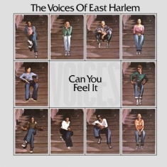Voices Of East Harlem - Can You Feel It