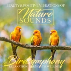 Various Artists - Birdsymphony