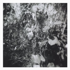 Mislock Tim - Now Is The Last Best Time