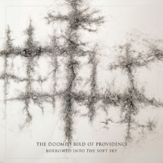Doomed Bird Of Providence - Burrowed Into The Soft Sky