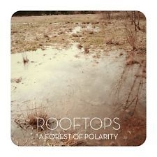 Rooftops - A Forest Of Polaris i gruppen VINYL / Rock hos Bengans Skivbutik AB (2549069)