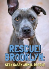 Rescue! Brooklyn - Film i gruppen ÖVRIGT / Musik-DVD & Bluray hos Bengans Skivbutik AB (2674389)