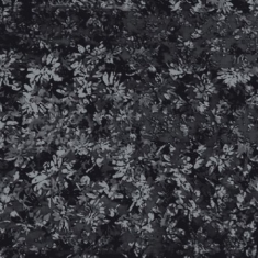 Rmftm - Subversive IiiSpelende De Mens