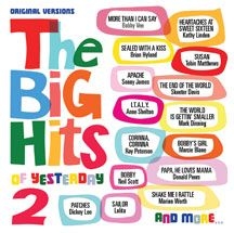 Blandade Artister - Big Hits Of Yesterday Volume 2 i gruppen CD / Pop hos Bengans Skivbutik AB (3034727)