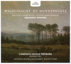 Camerata Vocale Freiburg/Toll - Brahms: Waldesnacht
