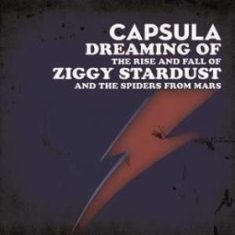 Capsula - Dreaming Of/ The Rise And Fall i gruppen VINYL / Rock hos Bengans Skivbutik AB (3044194)