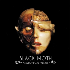 Black Moth - Anatomical Venus