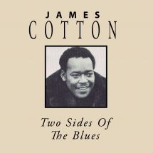 Cotton James - Two Sides Of The Blues i gruppen CD / Jazz/Blues hos Bengans Skivbutik AB (3113733)