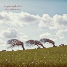 Pineapple Thief - What We Have Sown