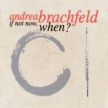 Brachfeld Andrea - If Not Now, When? i gruppen CD / Jazz/Blues hos Bengans Skivbutik AB (3205295)