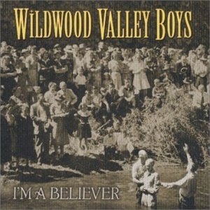 The Wildwood Valley Boys - I'm A Believer