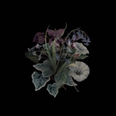 Nhor - Wildflowers (2 Lp Black Vinyl)