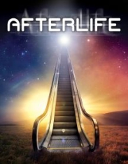 Afterlife - Film i gruppen ÖVRIGT / Musik-DVD & Bluray hos Bengans Skivbutik AB (3225051)