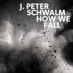 Schwalm J.Peter - How We Fall