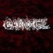 Carnage - Massacre i gruppen VINYL / Hårdrock/ Heavy metal hos Bengans Skivbutik AB (3233510)