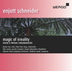 Schneider Enjott - Magic Of Irreality
