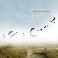 Mezza/Ginsburg Ensemble - Convergence