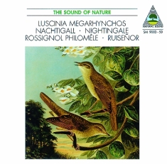 Natural Sound - Nightingale