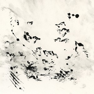 Neov - Volant
