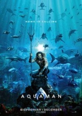 Aquaman i gruppen ÖVRIGT / Film Ultra HD Blu-Ray hos Bengans Skivbutik AB (3513882)