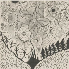 Jordsjï - Nattfiolen