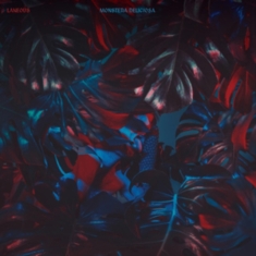 Laneous - Monstera Deliciosa