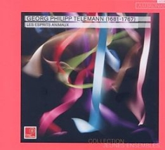 Telemann - A Journey Through Literature