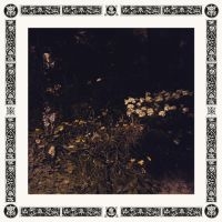 Davachi Sarah - Pale Bloom