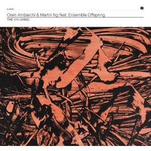 Ambarchi Oren & Martin Ng Feat. Ens - Vanishing