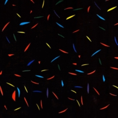 Trash Kit - Horizon (Yellow)