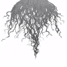 Meursault - Crow Hill