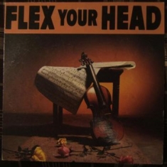 V/A - Indie Rock - Flex Your Head