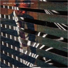 Sweet Williams - Where Does The Time Come From