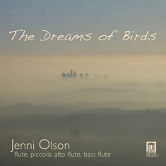 Olson - The Dreams Of Birds
