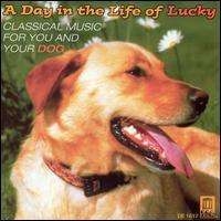 Various - A Day In The Life Of Lucky