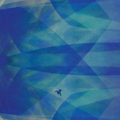 Baptista Cyro - Bluefly