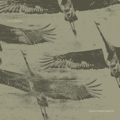 Ulf Lundell - Tranorna Kommer