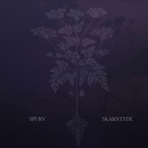 Spurv - Skarntyde (Vinyl Lp)