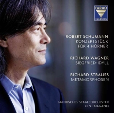 Schumannrobert/Wagnerrichard/Stra - Konzertstück/Siegfried-Idyll/Metam.